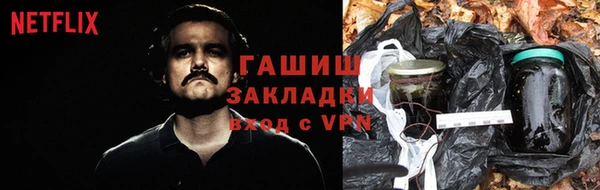 Альфа ПВП Верея
