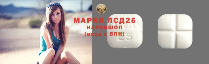 Альфа ПВП Верея