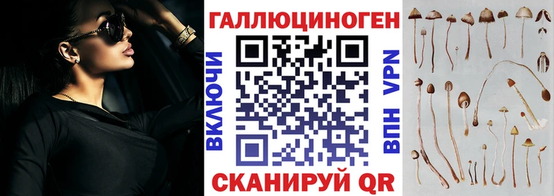 закладки  Камышлов  Галлюциногенные грибы Cubensis 