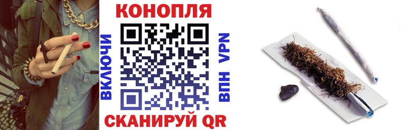 даркнет сайт  Камышлов  Бошки Шишки индика 